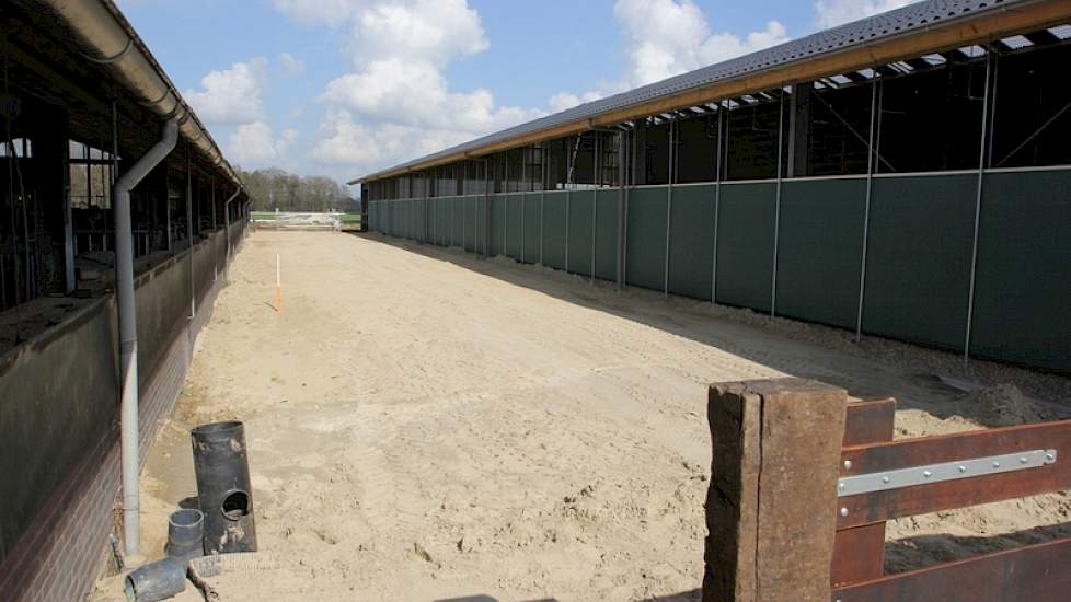 Links de oude stal en rechts de nieuwe stal. De zandruimte ertussen dient als uitloop voor de droogstaande koeien, zodat die hun beweging krijgen.