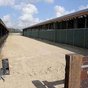 Links de oude stal en rechts de nieuwe stal. De zandruimte ertussen dient als uitloop voor de droogstaande koeien, zodat die hun beweging krijgen.
