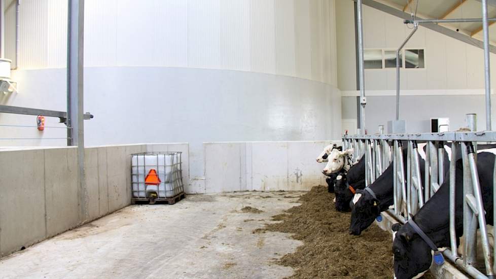 Zicht op de melkstal vanaf de voergang.