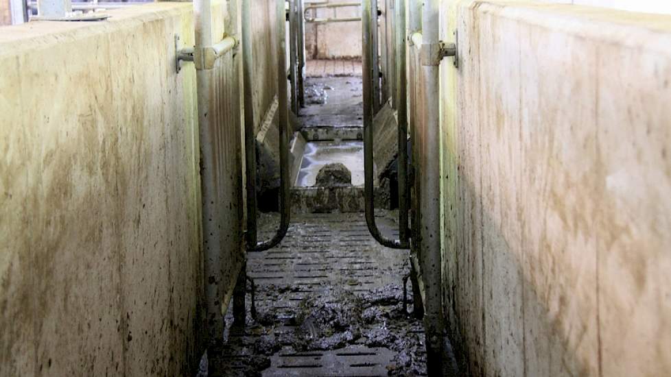 In de terugloopgang is een automatische spraybox met voetenbad geplaatst.