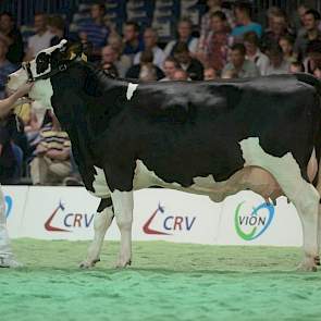 Momo-dochter Dinka 29 (eigenaar Mts. P.J.C.M. & J.A.M. Roozen-Vermeulen, Hilvarenbeek)