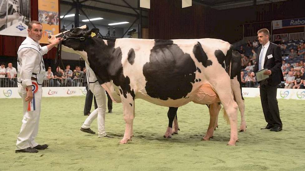 De koppositie werd opgeëist door Bons-Holsteins Ella 158 (Mailing x Bonatus) van andermaal Nico Bons. Ze won tevens het reservekampioenschap bij de zwartbonte senioren achter stalgenote Bons-Holsteins Koba 191 (Jasper x Integrity).