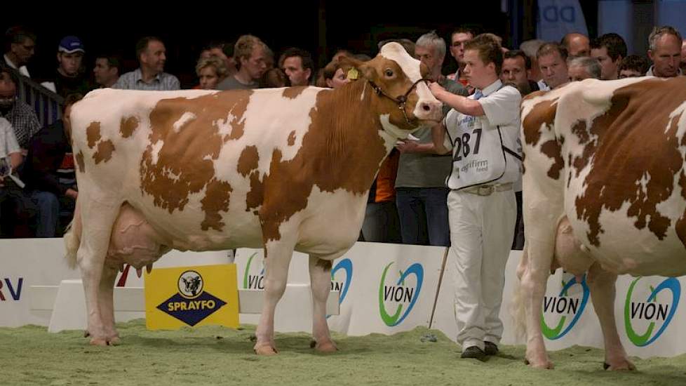 De oudste koe van de keuring was Dennenburg Martina 44 (Kian x Vicktor) van Wil en Mariëtte Meulenbroeks uit Lage Mierde (NB). Met 90.000 kilo melk op de teller eindigde de tien jaar oude koe op de twaalfde positie in haar rubriek.