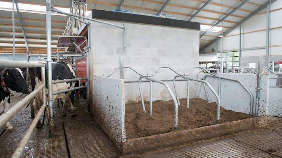 De separatieruimte is niet alleen handig voor tochtige koeien, maar kan ook worden gebruikt om koeien door middel van een apart rantsoen af te drogen, vertelt hij.