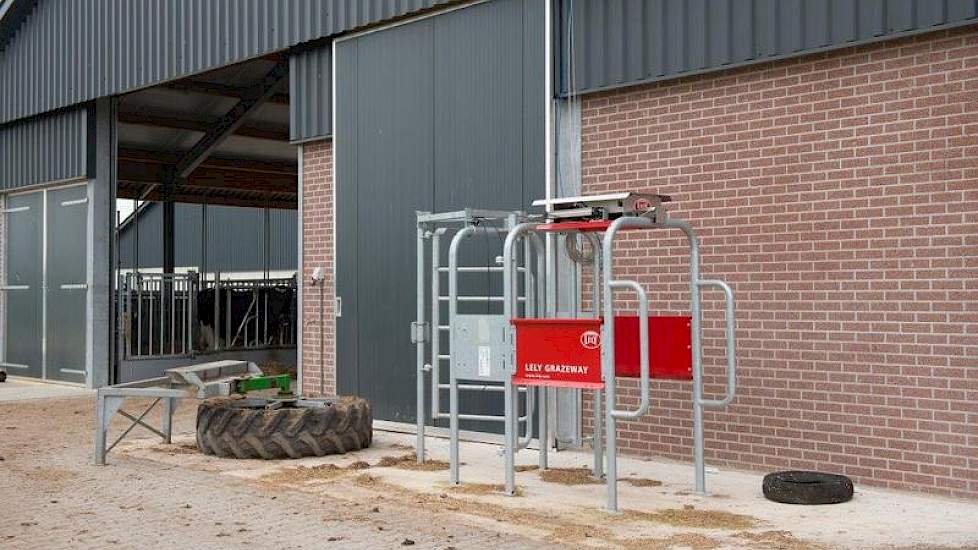 De koeien hebben op termijn de mogelijkheid om te weiden. De selectiebox staat er al.