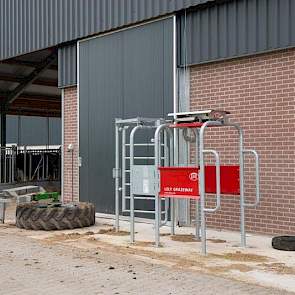 De koeien hebben op termijn de mogelijkheid om te weiden. De selectiebox staat er al.
