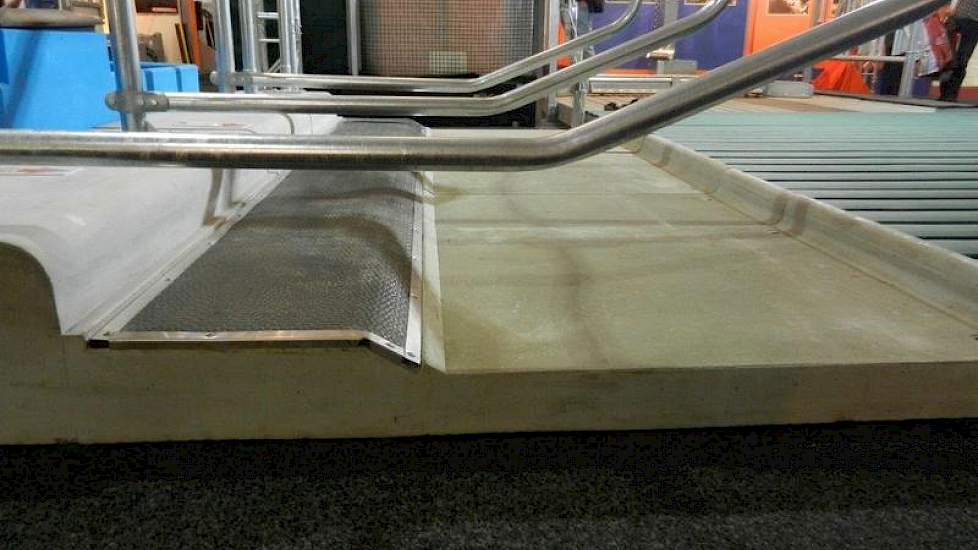 Beerepoot presenteert voor het eerst haar combi-boxdek. Het samen met Bosch beton ontwikkelde boxdek, is een combinatie van een diepstrooisel (achter) en een opgestorte boxdek met rubber mat (voor). Het boxdek is met name geschikt voor veehouders die geen