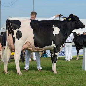 Een vijfde plaats in de zwartbonte middenklasse was er voor Bons-Holsteins Aaltje 98 (Talent x Terrason) van Nico Bons.