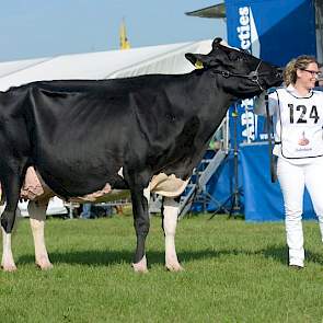 Halfzusje en heersend NRM-kampioene Bons-Holsteins Koba 191 (Jasper x Integrity) van wederom Bons greep het kampioenschap in de middenklasse.