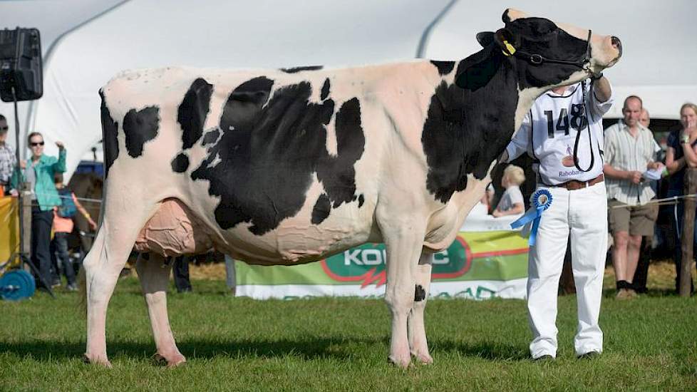 Het seniorenkampioenschap werd een prooi voor Bons-Holsteins Ella 158 (Mailing x Bonatus) van Nico Bons.