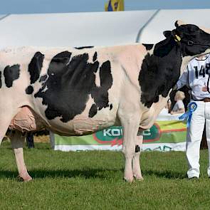 Het seniorenkampioenschap werd een prooi voor Bons-Holsteins Ella 158 (Mailing x Bonatus) van Nico Bons.