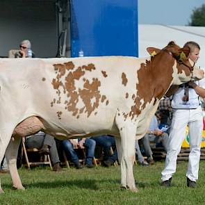 De derde plaats in de categorie roodbont jong was er voor Rubensposy-Red4 (Savard x Kite Advent) van Teus van Dijk uit Giessenburg.