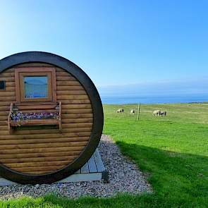 In april 2011 begon het echtpaar met het aanbieden van overnachtingen op hun bedrijf en werd de eerste hobbit gekocht. „We wilden het prachtige uitzicht met meer mensen delen. Bovendien moest dit een nieuw inkomen zijn voor de boerderij”, vertelt Carole o