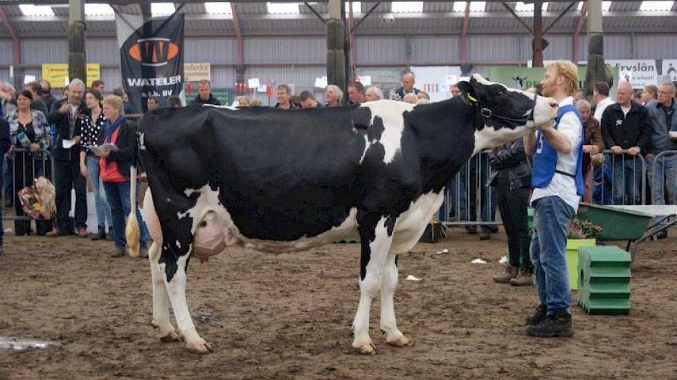 Reservekampioene oudere koeien Anna 337 (v. Jardin) van Maatschap Atsma uit Eastermar.