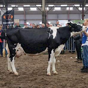 Reservekampioene oudere koeien Anna 337 (v. Jardin) van Maatschap Atsma uit Eastermar.