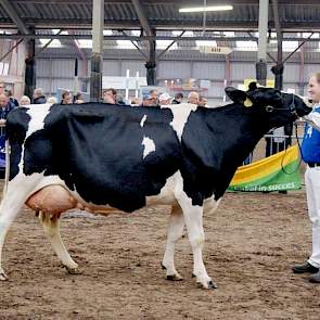 Kobus Eppinga uit Sondel won met Sondeler Edelweiss 8660 (v. Jannsen) het middenklasse kampioenschap.