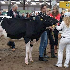 Kampioen middenklasse kalveren werd Roverhoekster Tex B Shottle 6 (v. Gold Chip) Van de Maatschap Hoekstra-Cuperus uit Aldtsjerk.