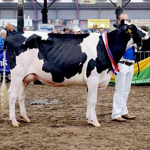 Jaap Jacobi uit Garyp met de winnaar van de rubriek ‘Jackpot-vaarzen’, Topcross Jaan 600 (v. Acme). Later eiste de vaars ook het vaarzenkampioenschap op.