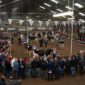 De tiende editie van de Veekeuring Fryslân werd druk bezocht.