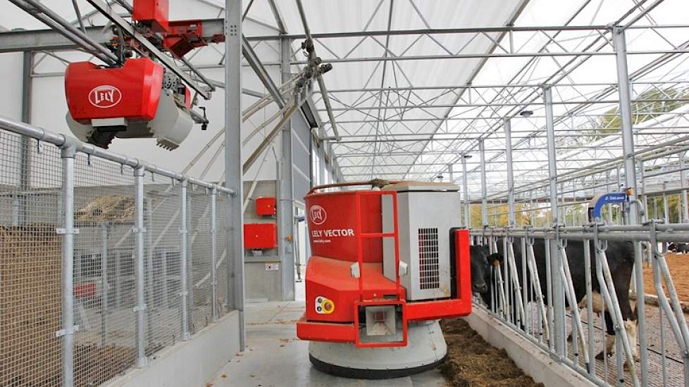 De koeien worden gevoerd met het automatisch voersysteem van Lely. Geenen heeft de indruk dat de Lely Vector voor veel meer rust aan het voerhek zorgt.