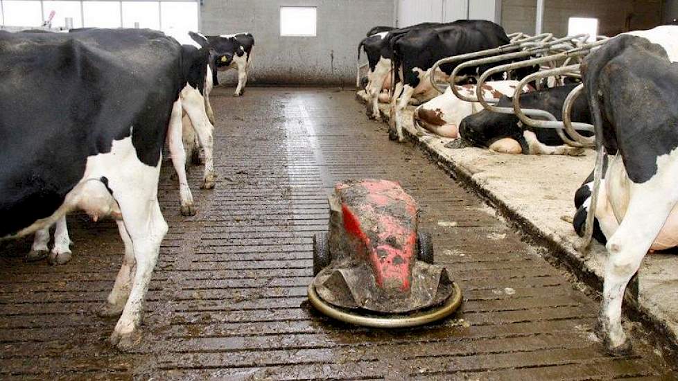 Door de integratie met de oude stal werd een de bouw volgens Maatlat Duurzame Veehouderij lastig. Daarom hoefde er niet geïnvesteerd te worden in een emissie-arme vloer.