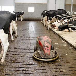 Door de integratie met de oude stal werd een de bouw volgens Maatlat Duurzame Veehouderij lastig. Daarom hoefde er niet geïnvesteerd te worden in een emissie-arme vloer.