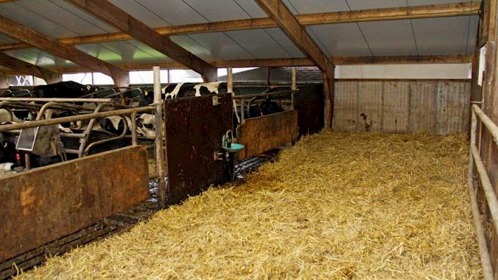 Het strohok in de bestaande stal blijft zijn functie als afkalfhok behouden.