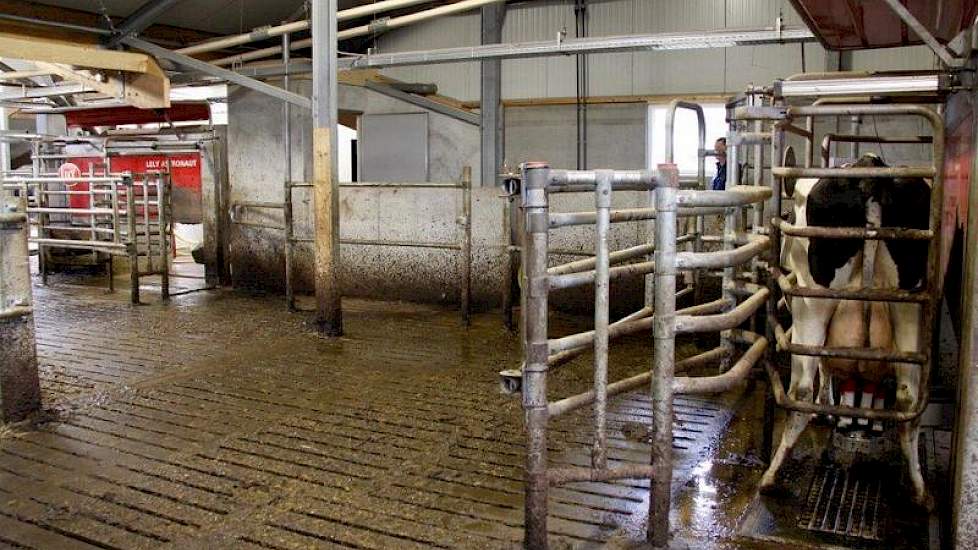 De hoekopstelling van de robots is niet alledaags. Wanneer de robots in het verlengde met elkaar werden geplaatst, kwam de hoek van de stal te dicht bij de buren, aldus Marten.