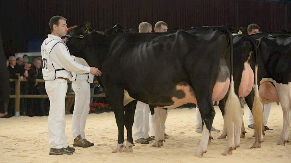 1A uit de tweede middenklasserubriek Damion Joy (v. Damion) van Jacob Wijnker uit Avenhorn.