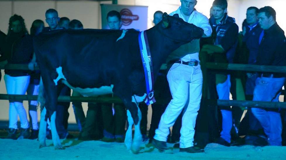 De showmanschip-wedstrijd was vrijdag gewonnen door Rene van der Wind uit Woudenberg (UT) met zijn kalf Suzanna 119 (v. Jotan Red), die daardoor mocht meedoen aan het afsluitende défile.