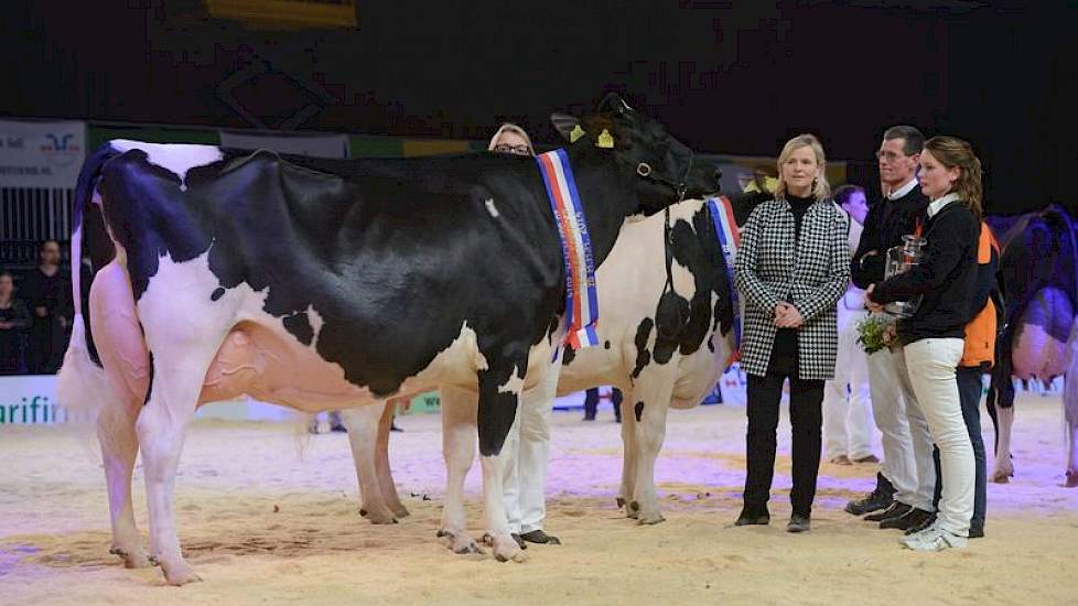 Algemeen kampioene zwartbont Marie 356 met daarnaast Annie Schreijer en Alex Verwaijen.