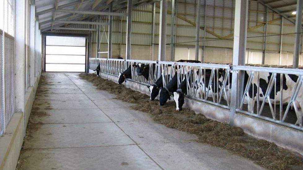In plaats van de voergang te storten koos  Westerlaken voor Stelcon-platen. Hiermee kon hij op bouwkosten besparen. Wel wil de veehouder in de toekomst de voergang alsnog met beton storten.