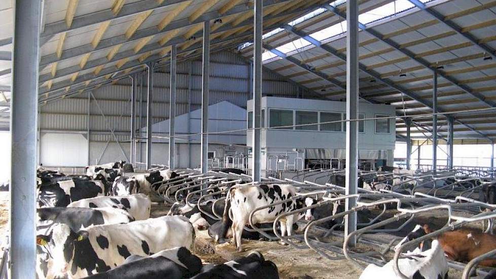 Als boxbedekking werd er gekozen voor waterbedden in combinatie met een kniemat van rubber voor in de box. Zo komen de koeien voor niet op de beton terecht als ze gaan liggen. Diepstrooisel was voor Westerlaken geen optie. Niet hygiënisch, te bewerkelijk