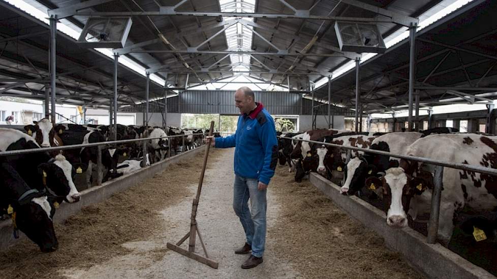 Kaishev haalde vier universitair geschoolde specialisten naar zijn bedrijf om het te laten renderen. Hij produceert gemiddeld 9000 kg melk per koe per jaar en houdt inmiddels 350 koeien.