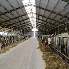 Henk Tijert uit Neede zit samen met zijn zoon Erik en vrouw Betty in maatschap. De familie breidde de bestaande 2+2 rijige ligboxenstal uit naar een 2+3 rijige stal met Italiaans dak.