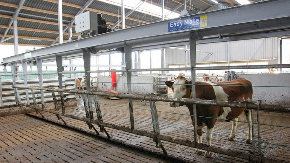 De nieuwbouw beschikt over 60 ligboxen en een aparte wachtruimte voor het melken. Hier worden de dieren opgedreven door een robuust 12 meter breed opdrijfhek van Van Dinther. De roosters worden schoongehouden door een mestrobot van Lely. Een mestschuif wa