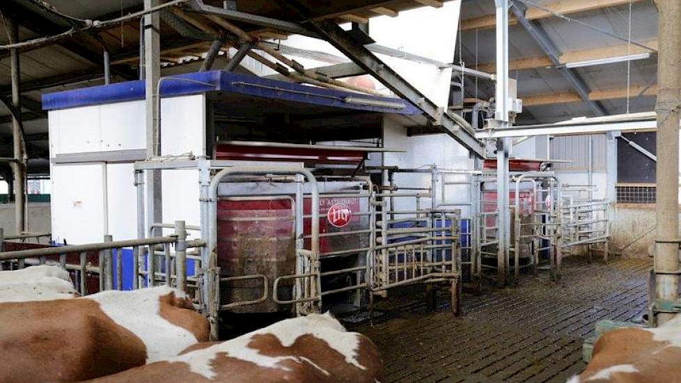 Familie Tijert molk ruim 3 jaar met Delaval melkrobots. Bij de nieuwbouw kozen ze echter voor 3 nieuwe A4’s van Lely. 'Om onverklaarbare reden wilden de koeien slecht lopen op de robots van Delaval. Wij begrijpen het niet hoe dit kan omdat veel andere vee