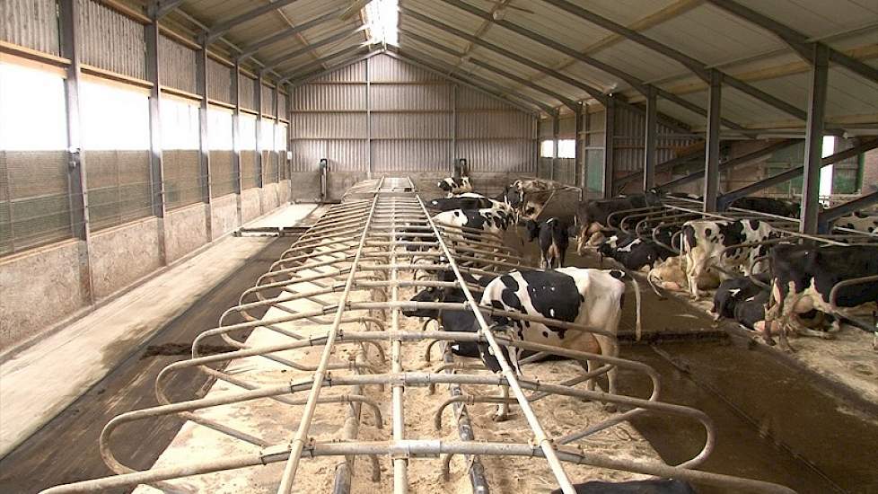 Video: Jensma van vrijloopstal terug naar ligbox