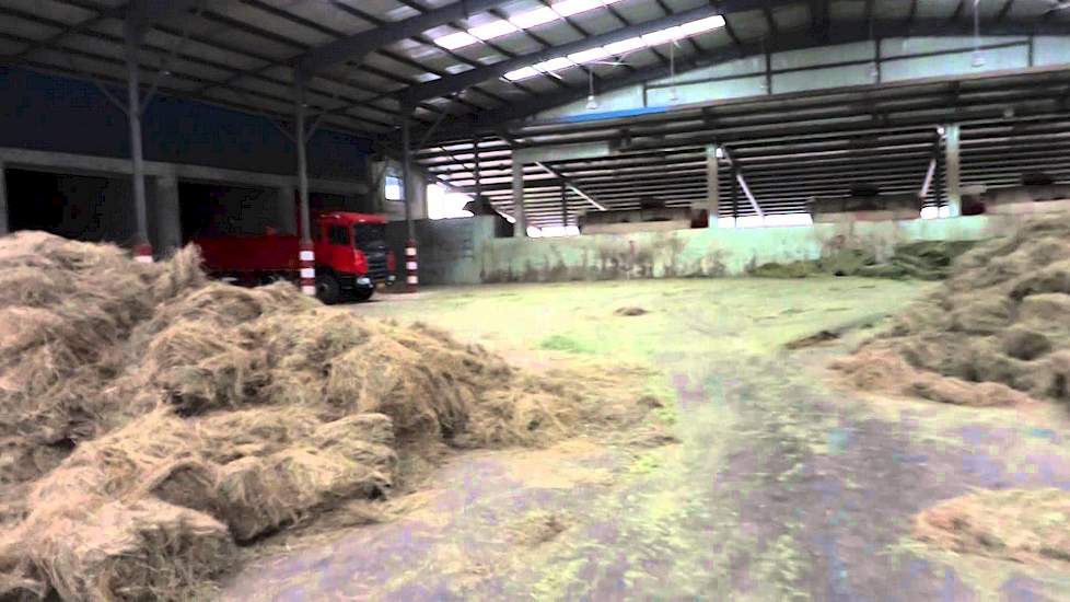 Feeding kitchen for 10.000 cows in Shanghai.