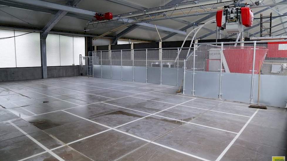 De koeien worden gevoerd met een Lely Vector automatisch voersysteem. De ondernemers wilden geen aparte bijgebouwen. Daarom is de voerkeuken in de ligboxenstal gesitueerd. Op dit moment voert Reinders met een Weelink voerhek. Om meer rendement uit het ruw