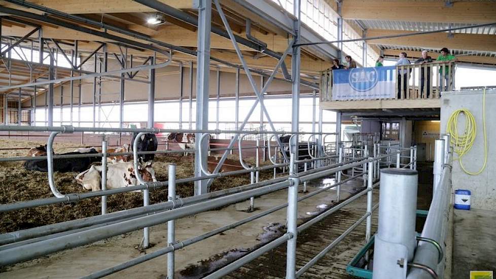 Omdat er geen vastzetvoerhekken zijn, investeerde het praktijkbedrijf in een behandelstraat waar groepen koeien behandeld kunnen worden. Koeien die een behandeling nodig hebben worden gesepareerd vanuit de melkstal.