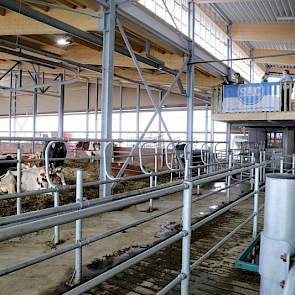 Omdat er geen vastzetvoerhekken zijn, investeerde het praktijkbedrijf in een behandelstraat waar groepen koeien behandeld kunnen worden. Koeien die een behandeling nodig hebben worden gesepareerd vanuit de melkstal.