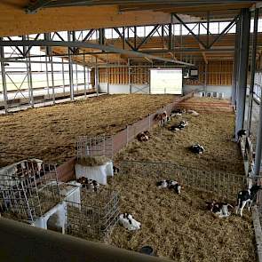 De koeien zijn gewend om volop te grazen, ze krijgen weinig krachtvoer. De zeventig koeien worden namelijk volgens het Ierse weidesysteem gehouden waarbij ze zomers, tussen de melkbuurten door, volledig buitenlopen. Ze moeten het doen met 40 hectare gras.