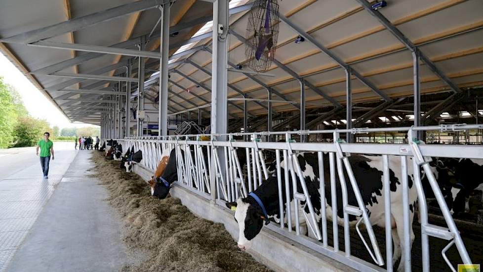 De stal is in de breedte uitgebreid zodat er nu ruimte is voor 60 stuks melkvee. Er is een extra voerpad aan de buitenkant van de stal gekomen.