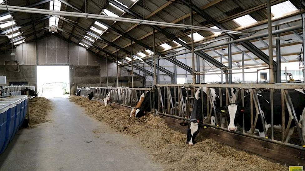 Zicht vanaf het voerpad van de Flevostal. Rechts is de uitbouw zichtbaar. Links op de foto zijn de voerweegbakken te zien van een groep koeien waar voeronderzoek wordt gedaan.