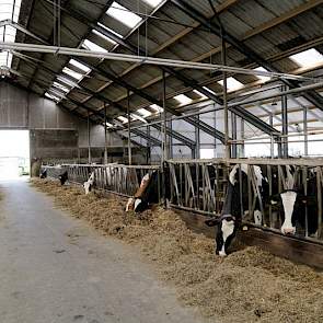 Zicht vanaf het voerpad van de Flevostal. Rechts is de uitbouw zichtbaar. Links op de foto zijn de voerweegbakken te zien van een groep koeien waar voeronderzoek wordt gedaan.