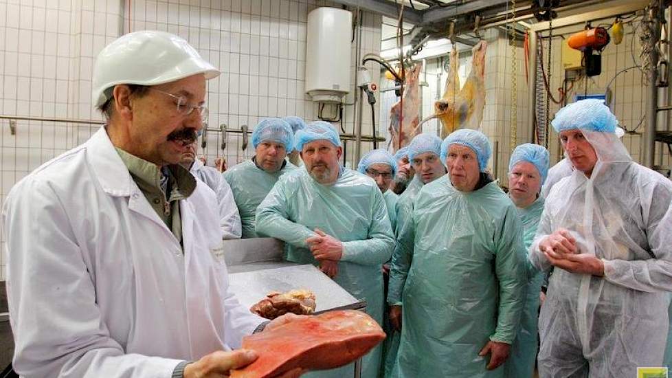 De lever wordt nagekeken op de aanwezigheid van leverbot en leververvetting. Staal: „Zo’n vervette lever is bijvoorbeeld het gevolg van slepende melkziekte. De lever wordt dan afgekeurd, maar de rest van de koe niet.”