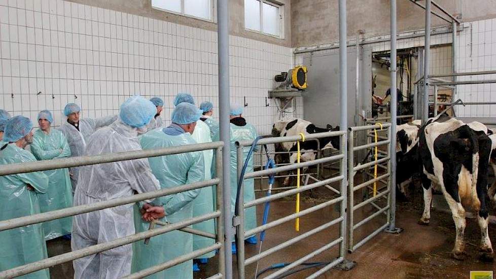 ’s Middag vertrokken de veehouders naar het slachthuis van Harrie Wildeboer in Hoogeveen. De koe links in beeld staat apart. Ze heeft twee dikke hakken, een dikke linkerknie en 39,3 graden koorts. „De koe is daarom ongeschikt voor consumptie en dat beteke