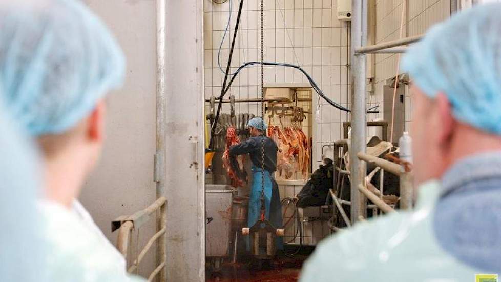 Het valt de veehouders op hoe rustig het eraan toe gaat in het kleine slachthuis. De koeien staan kalm in de wachtruimte, terwijl hun soortgenoten voor hun ogen het loodje leggen. Van stress over het naderend einde lijkt zeker geen sprake.