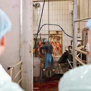 Het valt de veehouders op hoe rustig het eraan toe gaat in het kleine slachthuis. De koeien staan kalm in de wachtruimte, terwijl hun soortgenoten voor hun ogen het loodje leggen. Van stress over het naderend einde lijkt zeker geen sprake.
